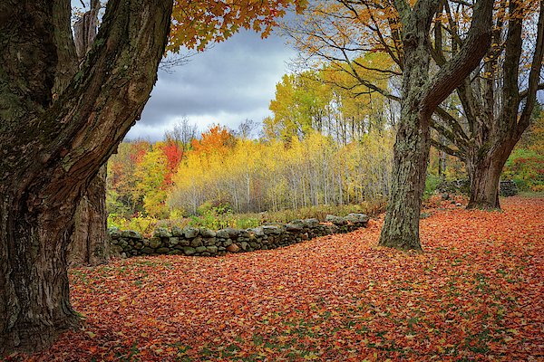 Norfolk Connecticut by Bill Wakeley Norfolk Connecticut by Bill Wakeley